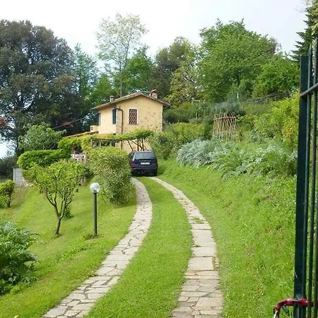 Villa Il leccio Pietrasanta Vitoio  Esterno foto